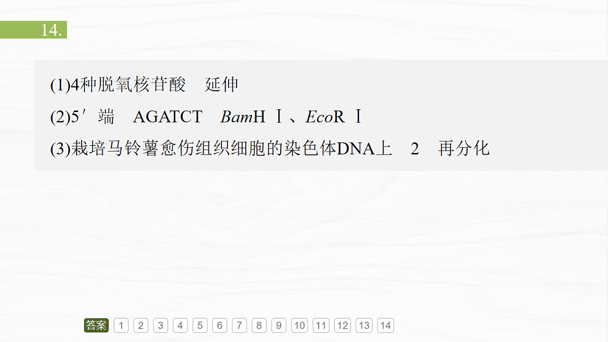 17926329第4页