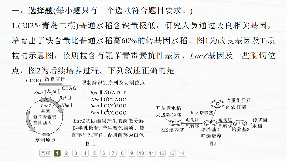17926329第5页