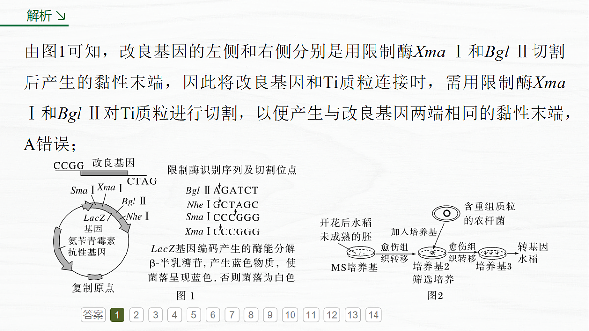 17926329第7页