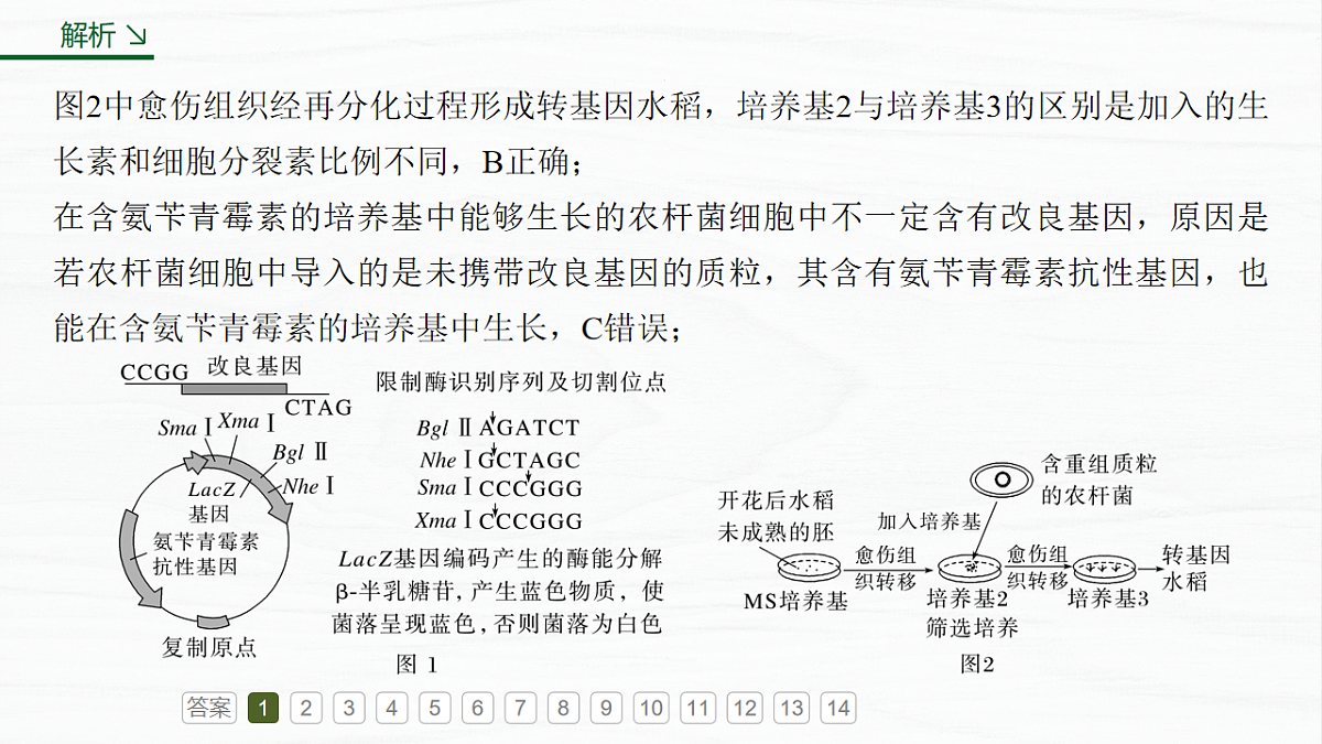 17926329第8页