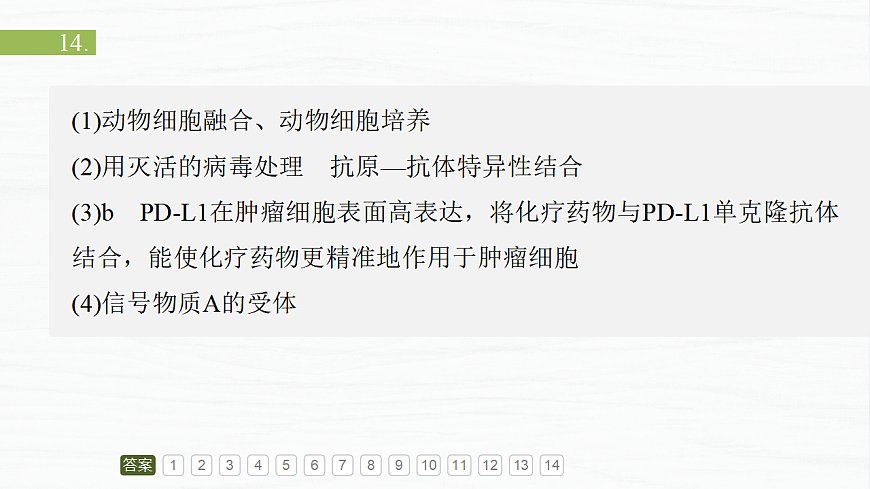 17926330第3页