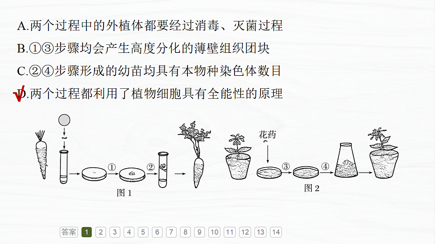 17926330第5页