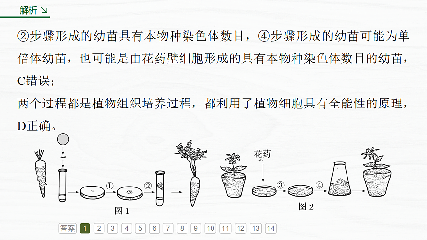 17926330第7页