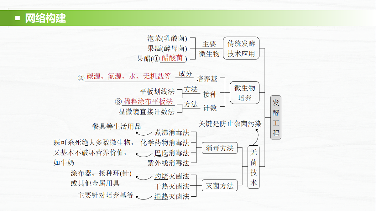 17926331第2页
