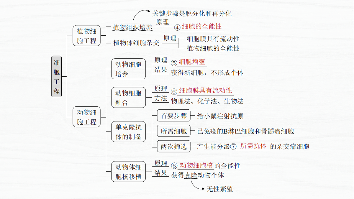 17926331第3页