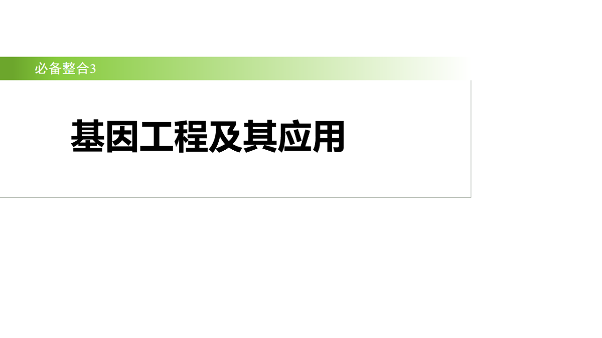 17926333第2页