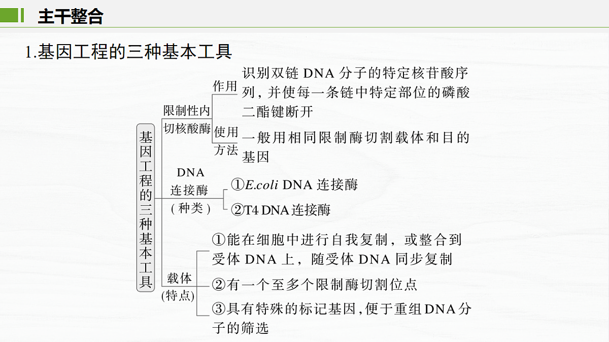 17926333第3页