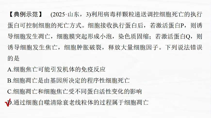 17926337第5页