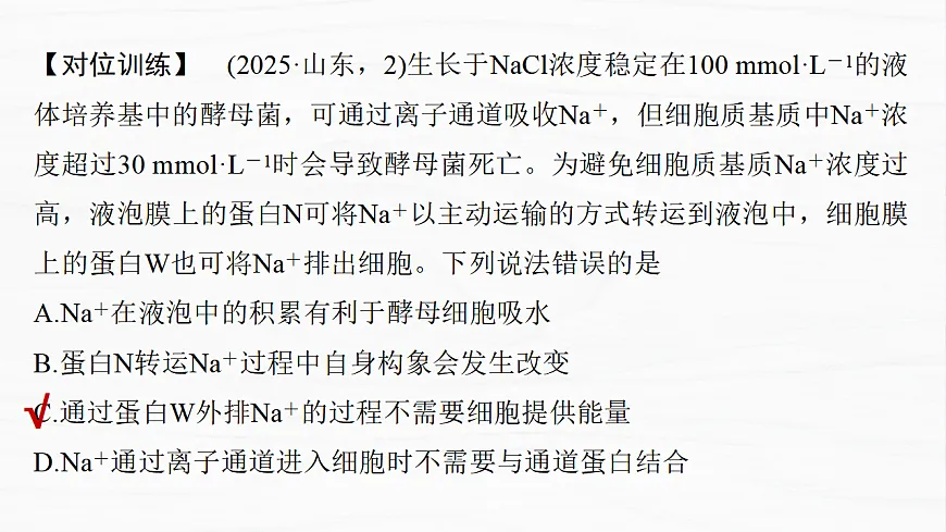 17926337第7页