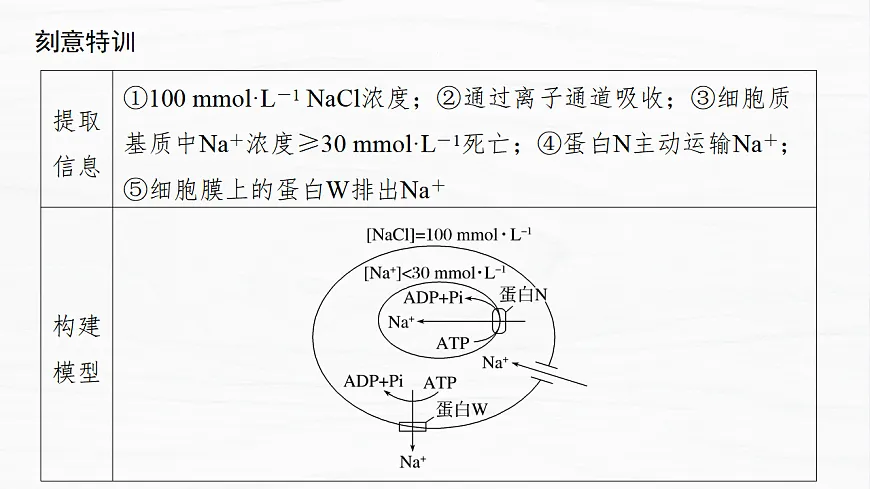 17926337第8页