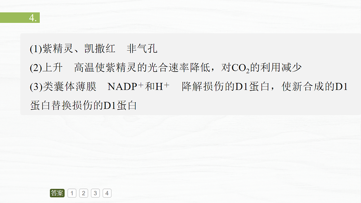 17926338第7页