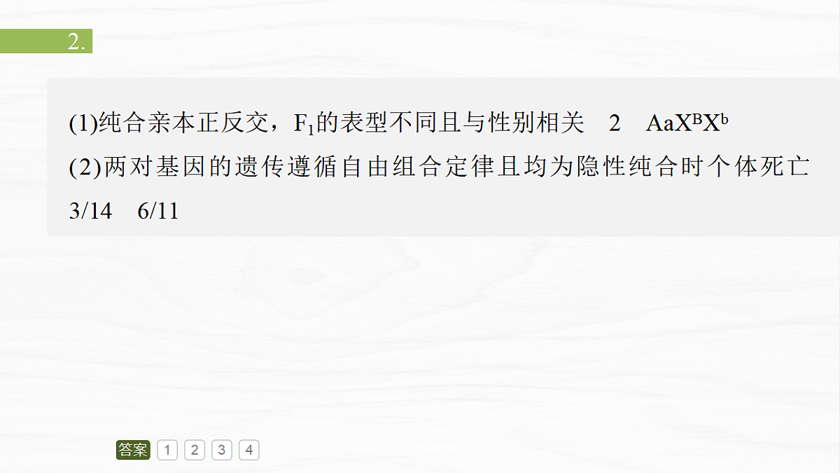 17926339第4页
