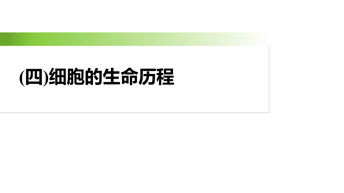 17926347第2页