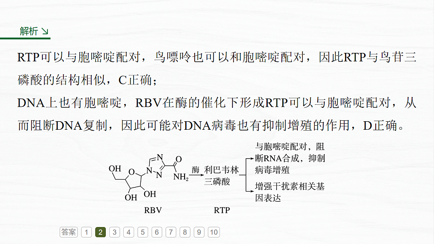 17926354第8页