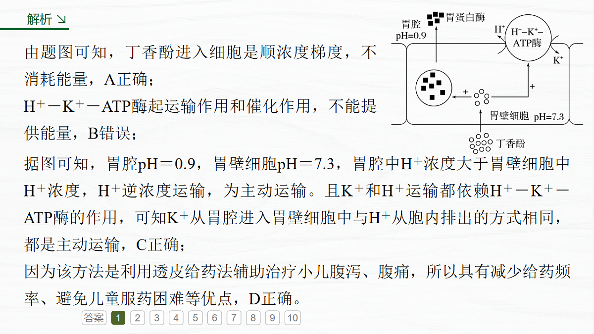 17926355第5页