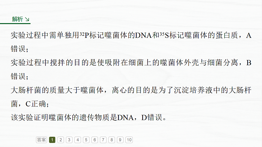 17926358第5页