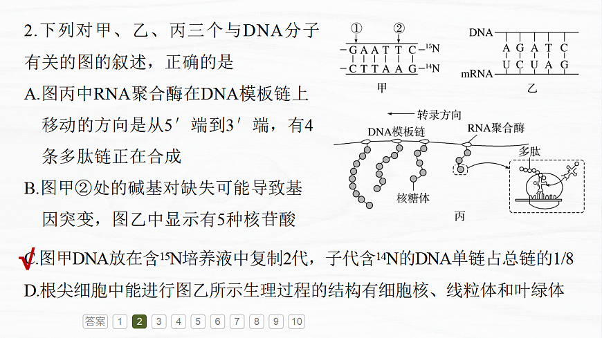17926358第6页
