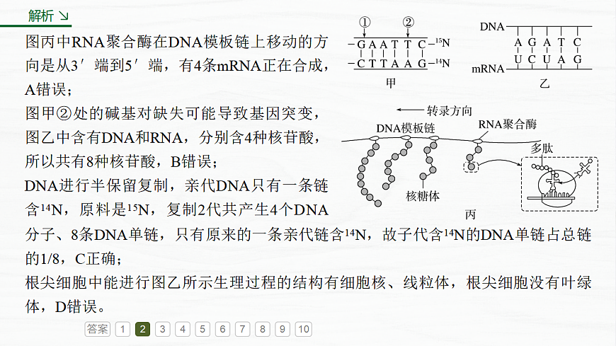 17926358第7页