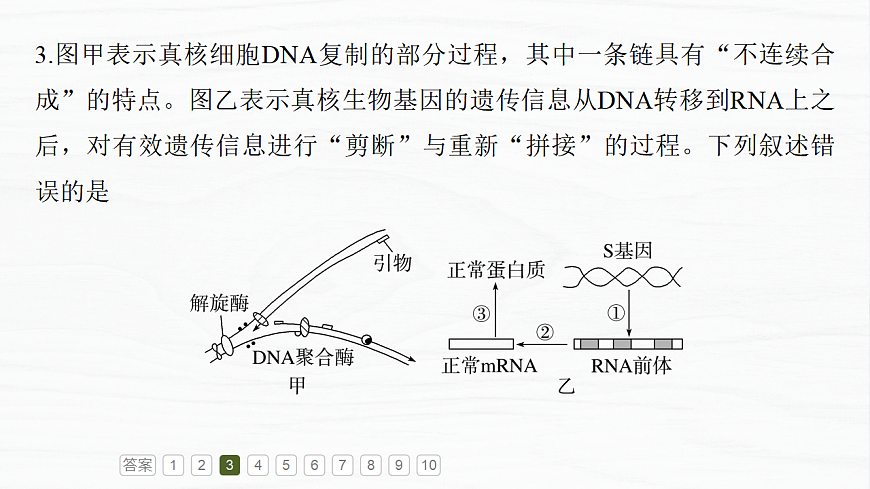 17926358第8页
