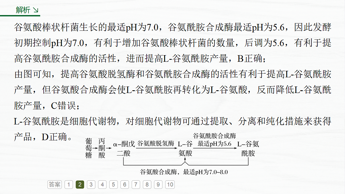 17926366第7页
