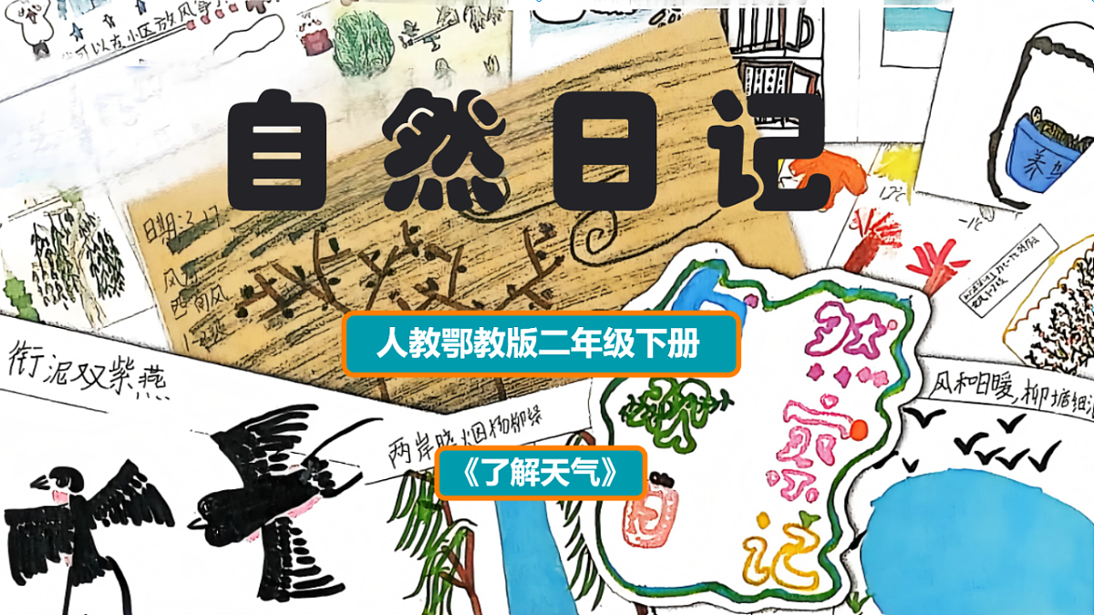 1.3《自然笔记》2026新科第1页