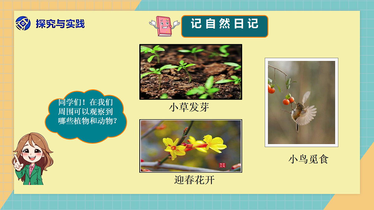 1.3《自然笔记》2026新科第3页