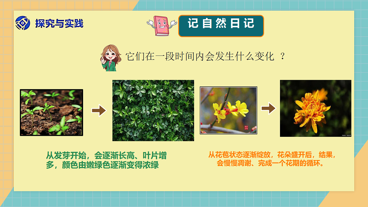 1.3《自然笔记》2026新科第4页
