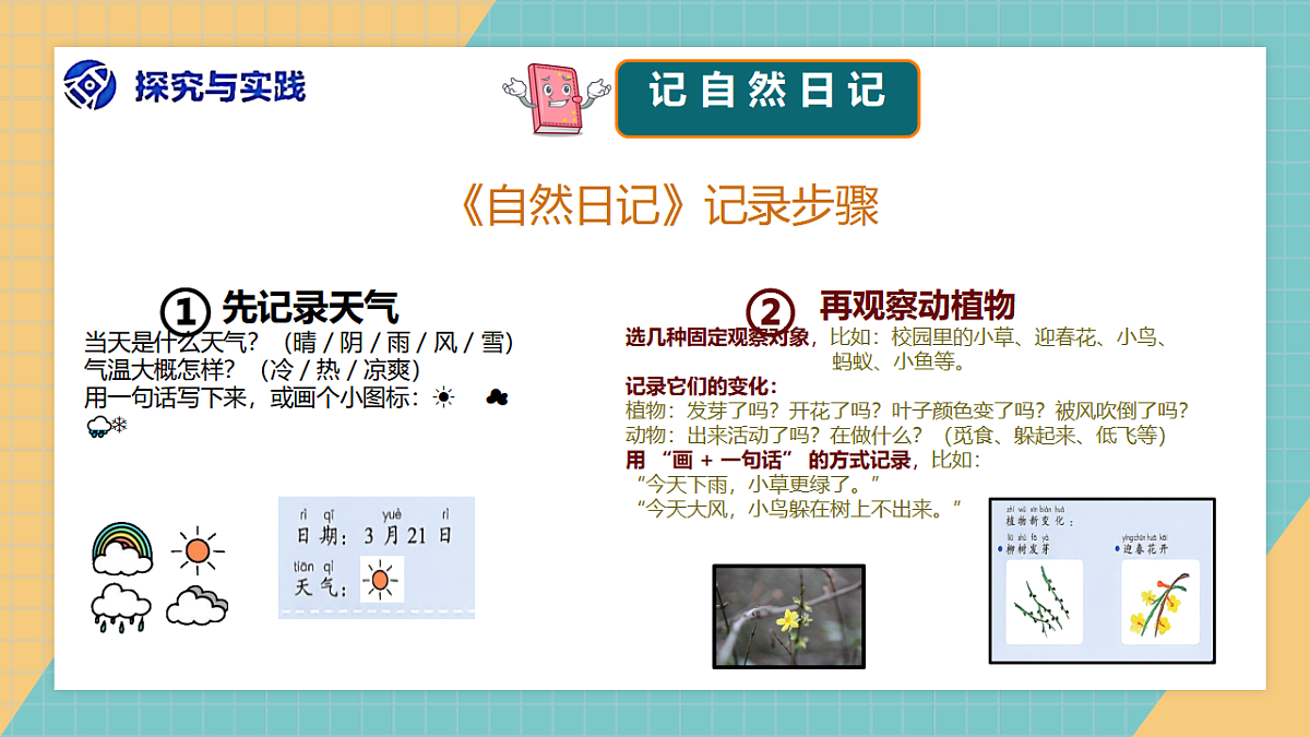 1.3《自然笔记》2026新科第8页