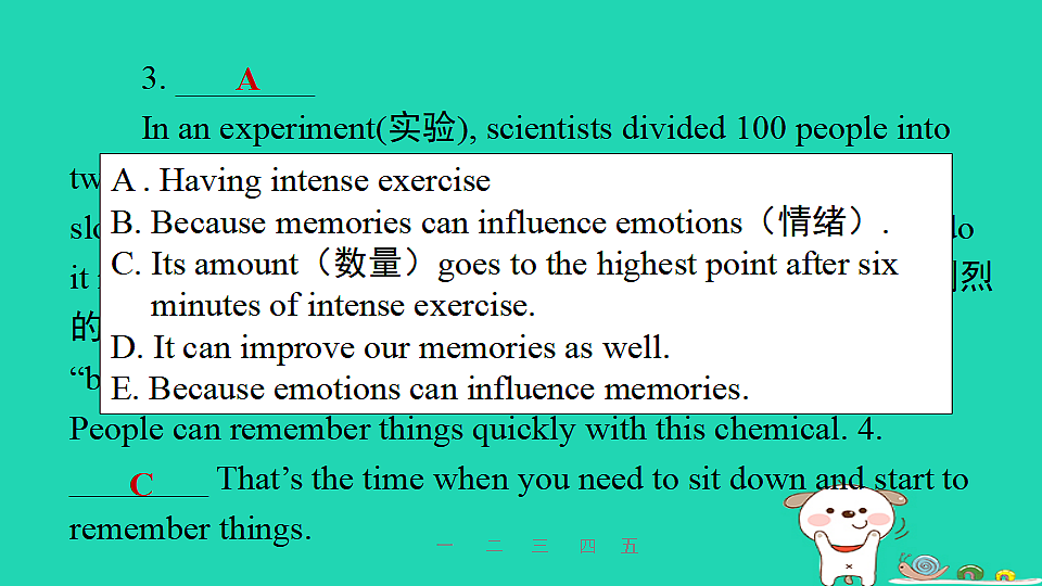 17927353第5页