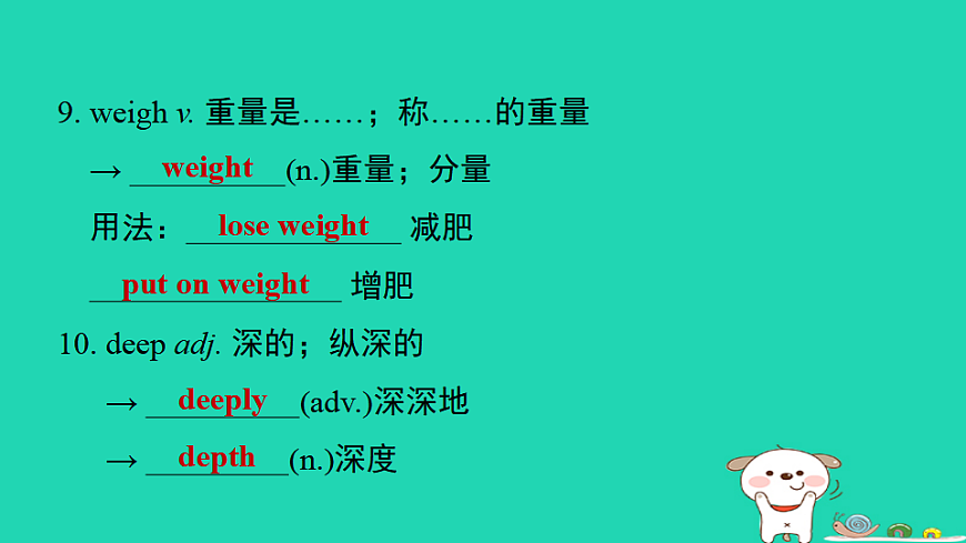 17927384第7页