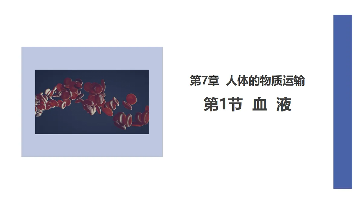 17928262第1页