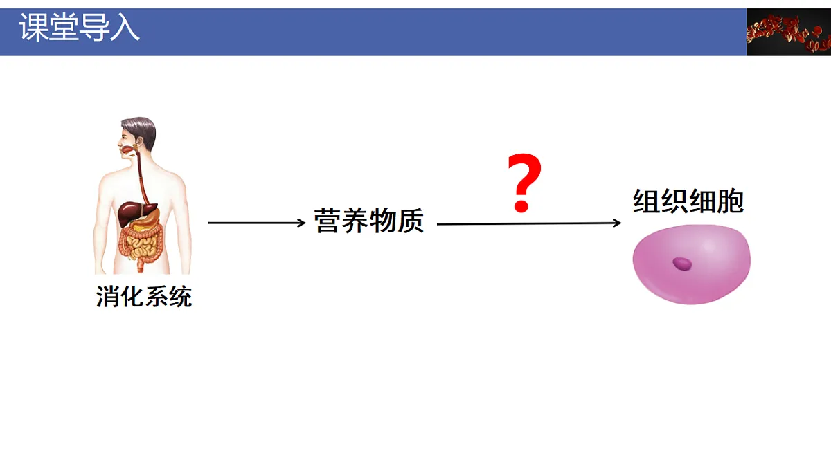 17928262第3页
