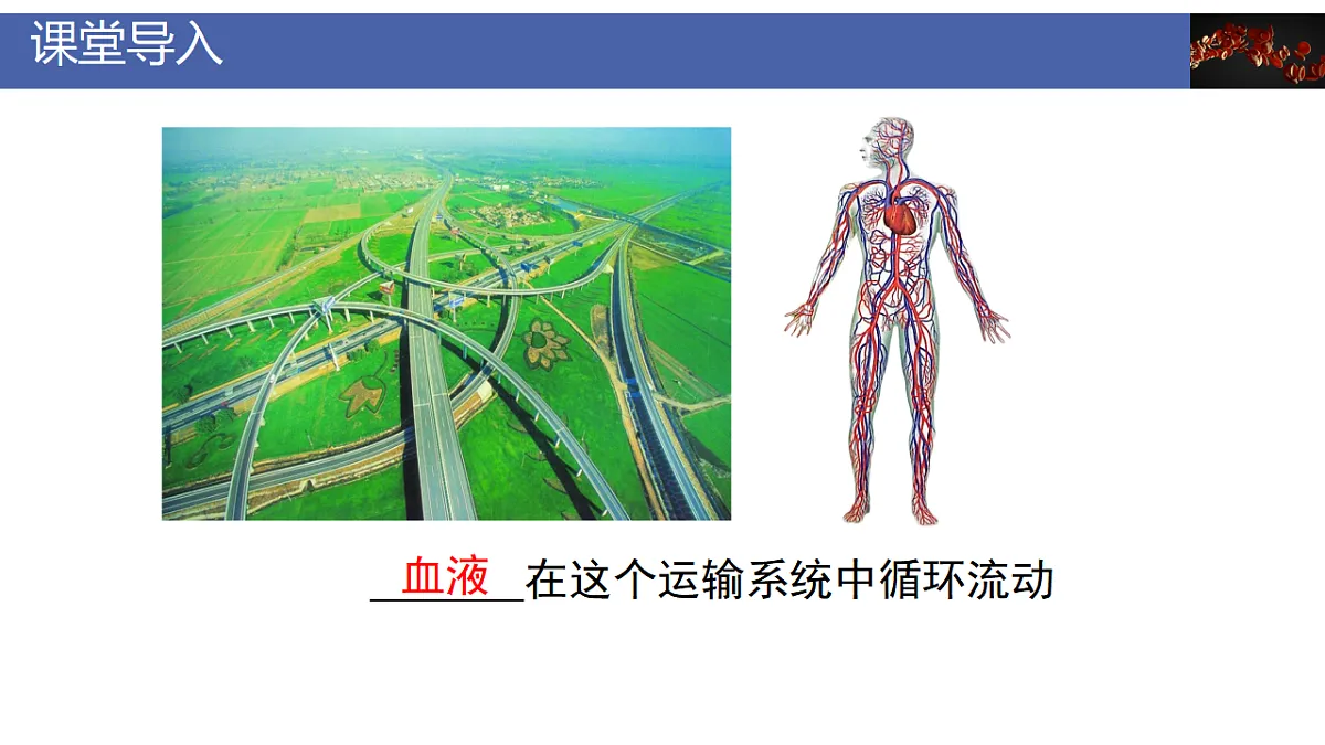 17928262第4页