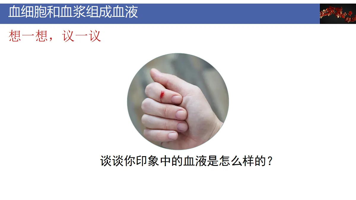 17928262第5页