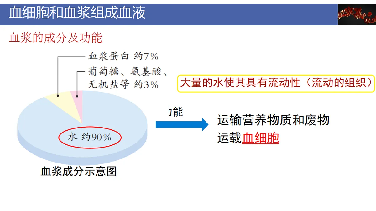 17928262第7页