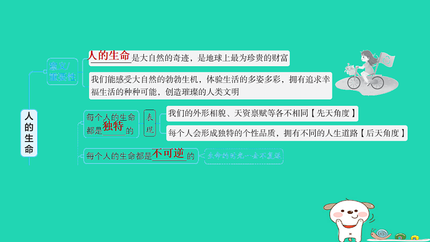 17928796第8页