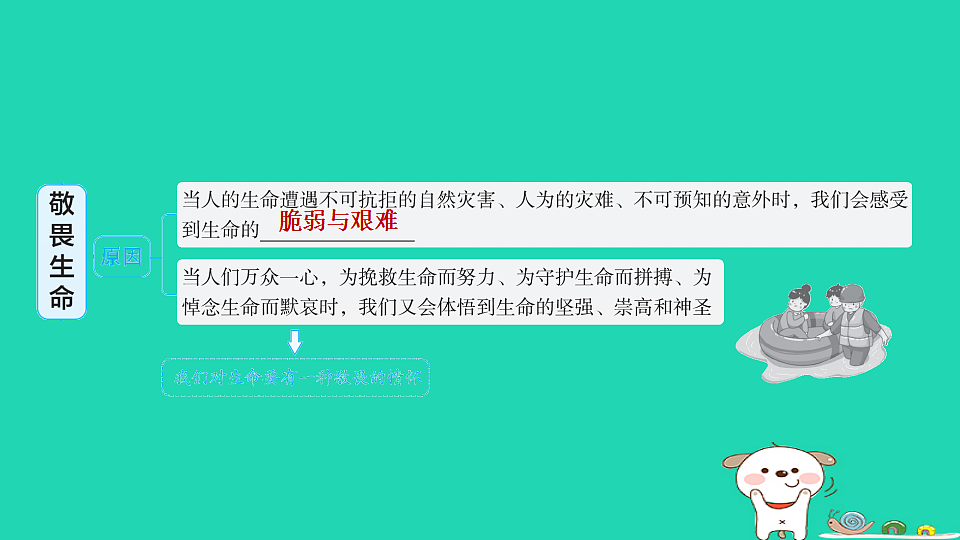 17928797第3页