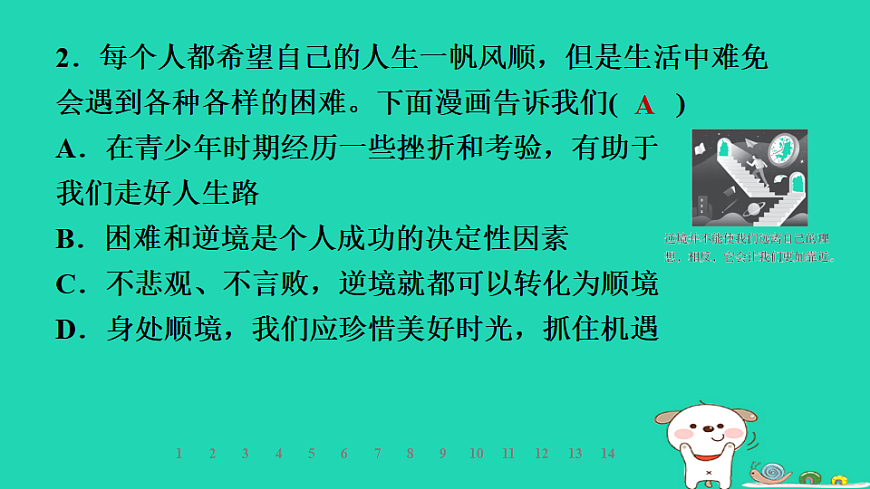 17928804第6页