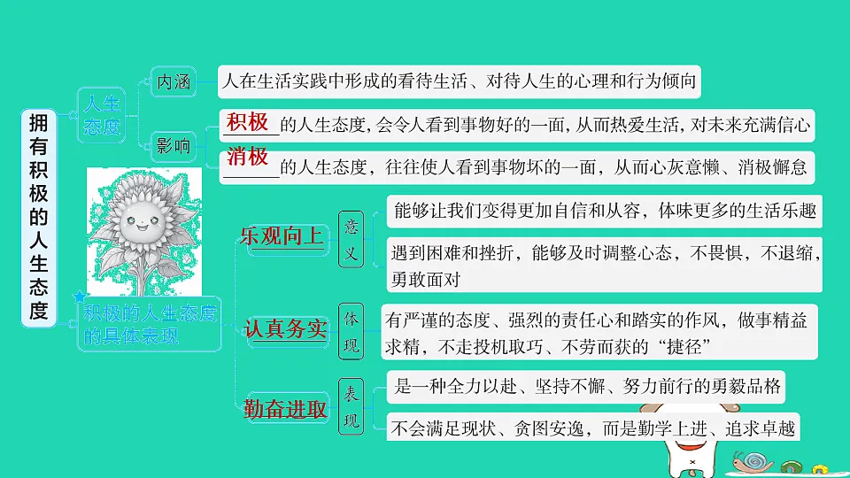 17928805第3页