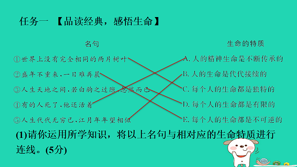17928816第4页