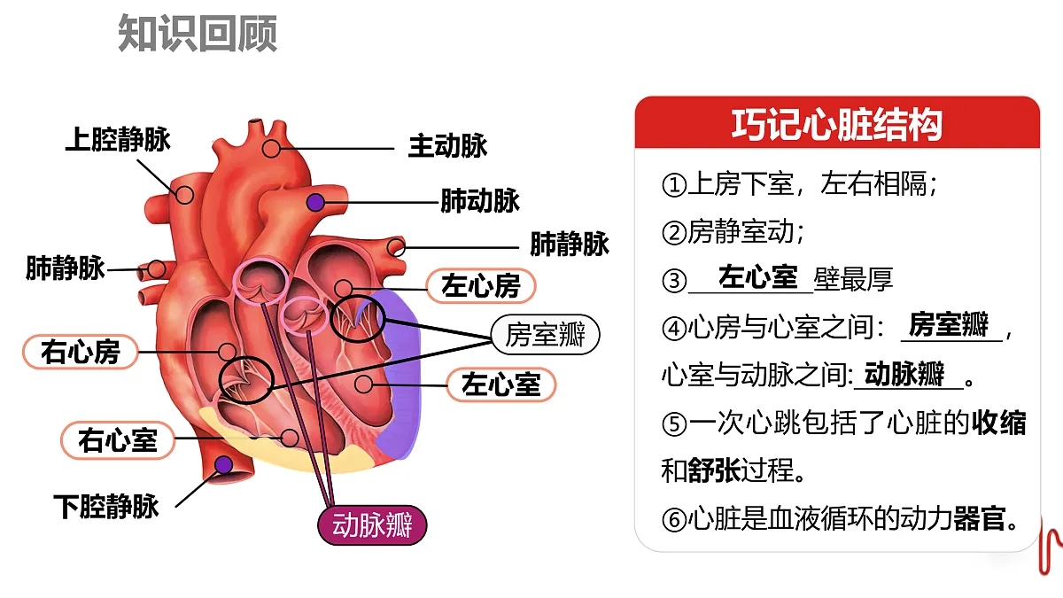 17929505第2页