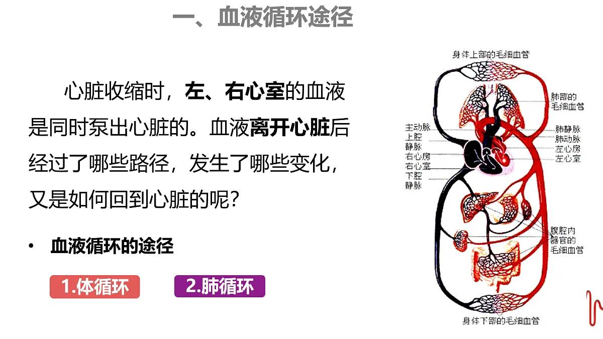 17929505第4页