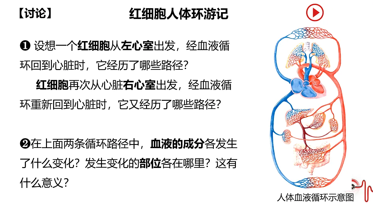 17929505第5页