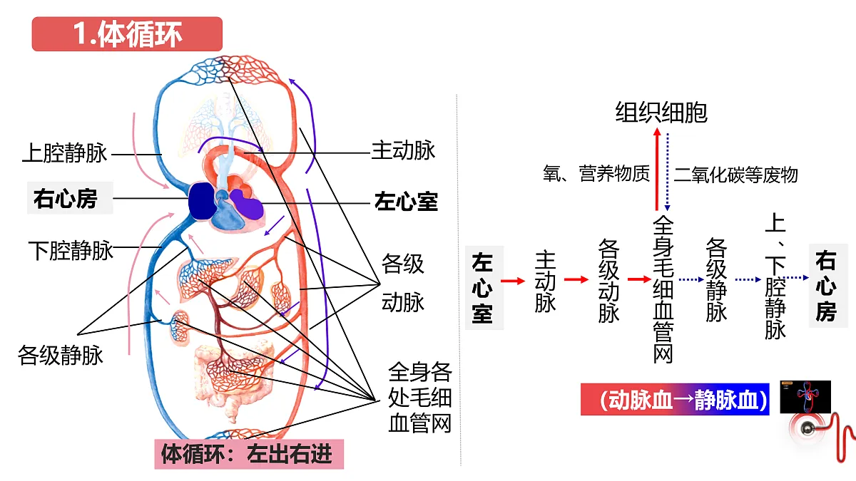 17929505第6页