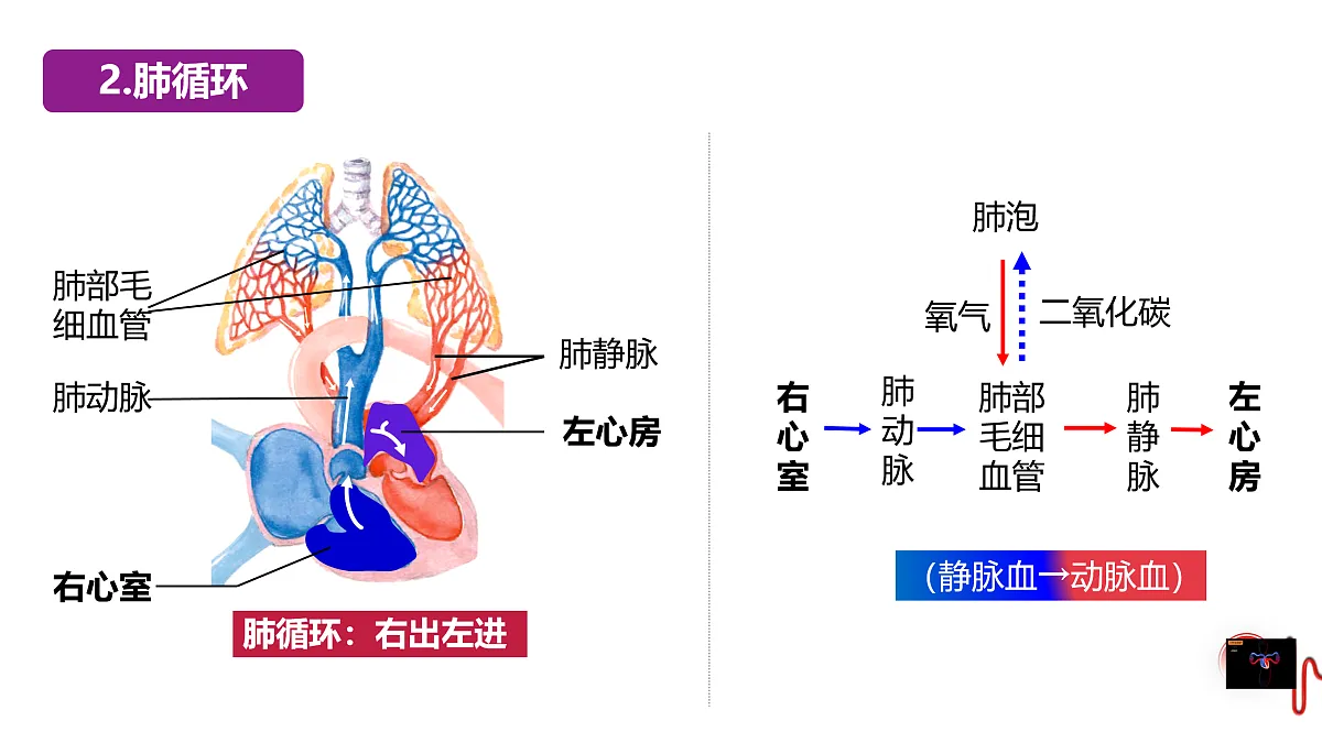 17929505第7页