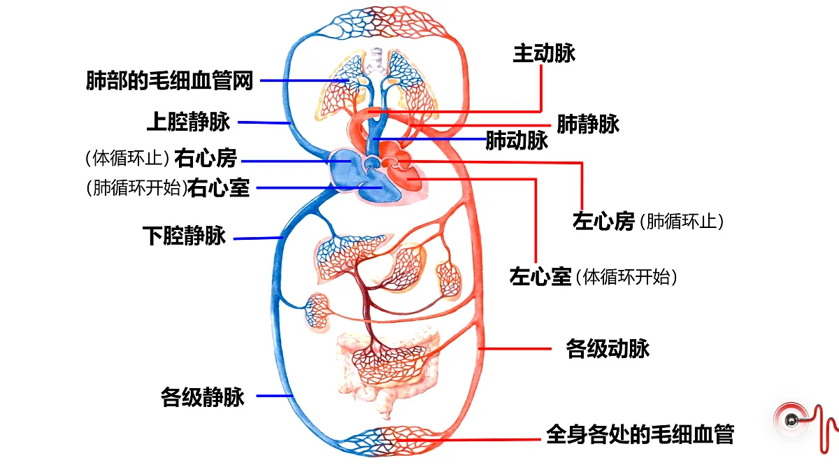 17929505第8页