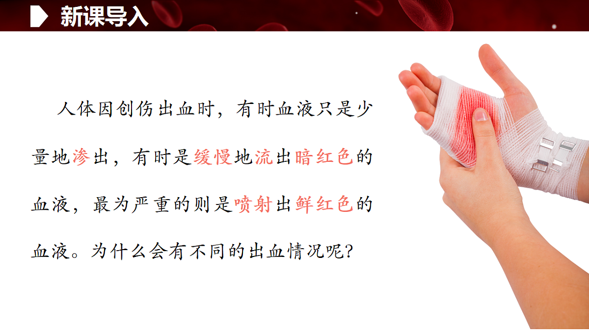 17929506第2页