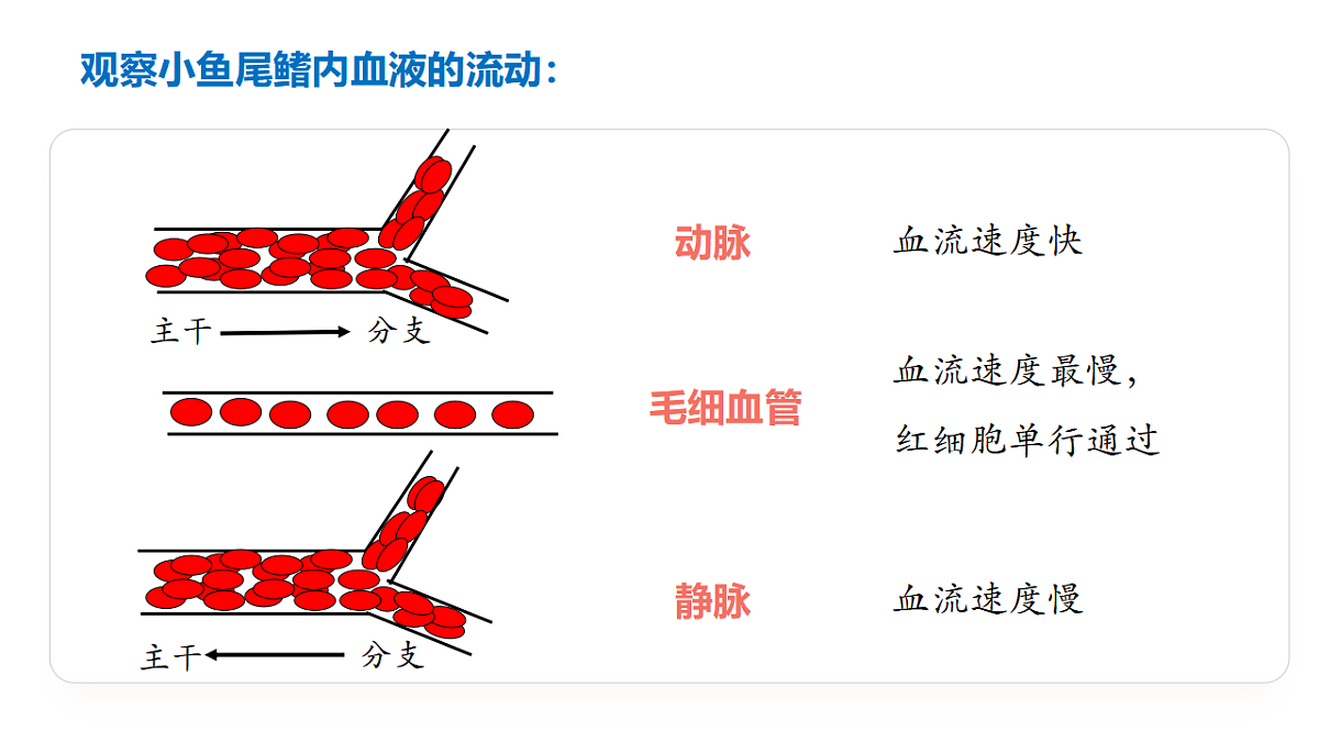 17929506第7页