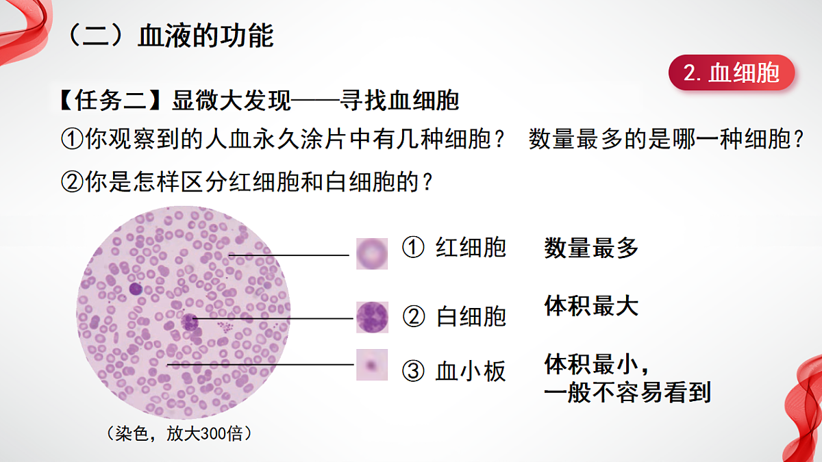 17929507第7页