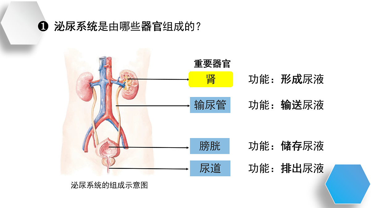 17929508第5页